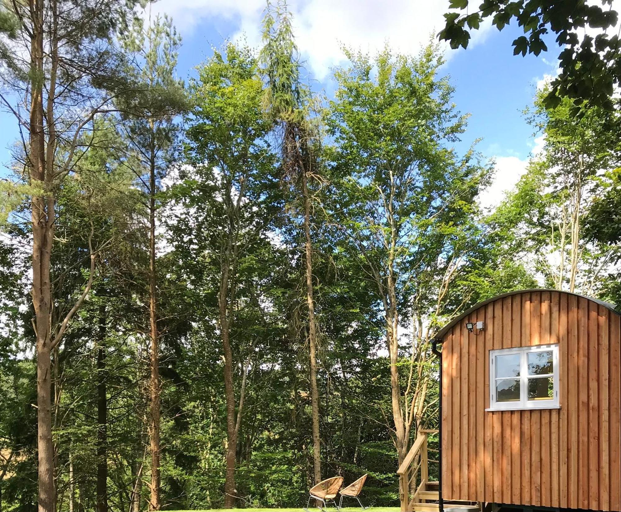 Shepherd'S Hut At Rosewood House Liskeard Luaran gambar